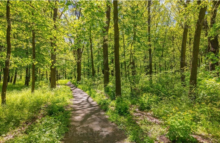 Un'immagine che accompagna la pagina Come funziona