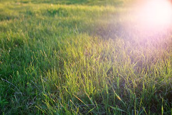 Una stanza luminosa e accogliente, un luogo tranquillo dove iniziare a parlare con calma